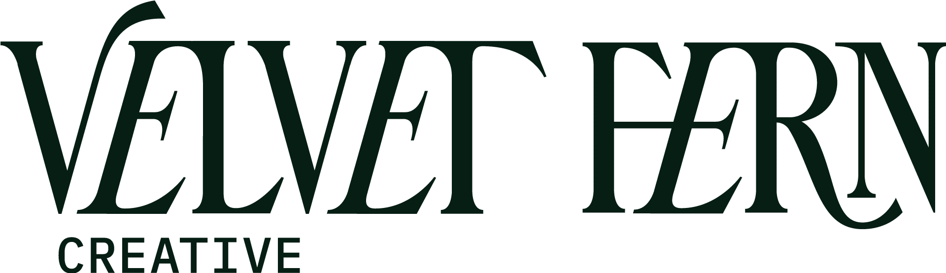 Custom typography logo stating "Velvet Fern Creative"